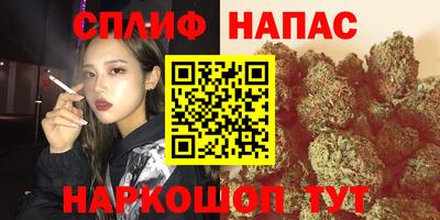 PSILOCYBIN Бугуруслан