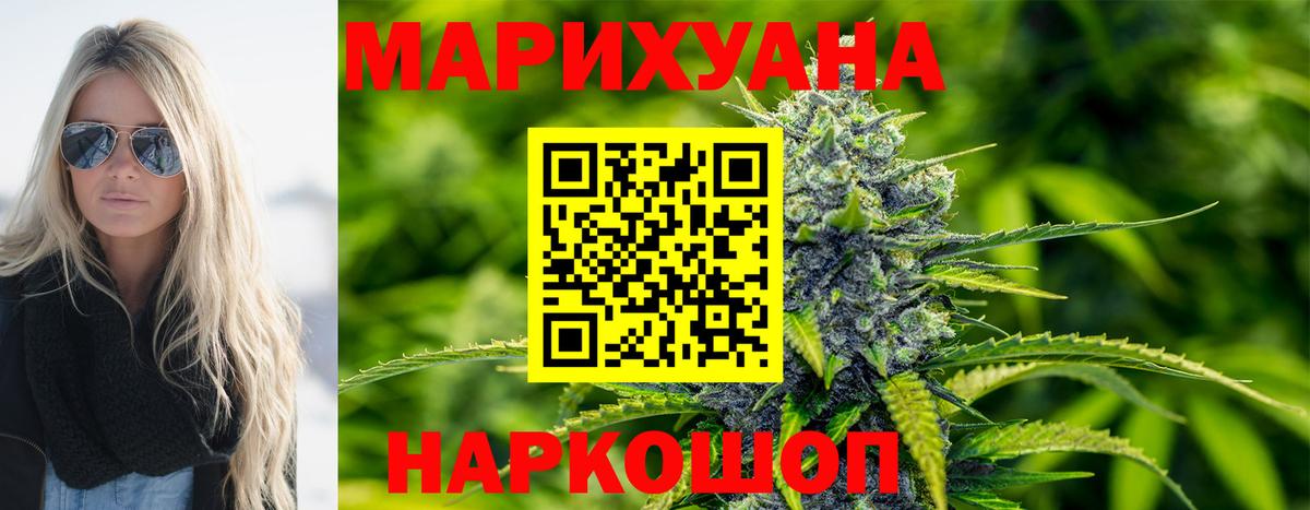 Конопля сатива Невинномысск